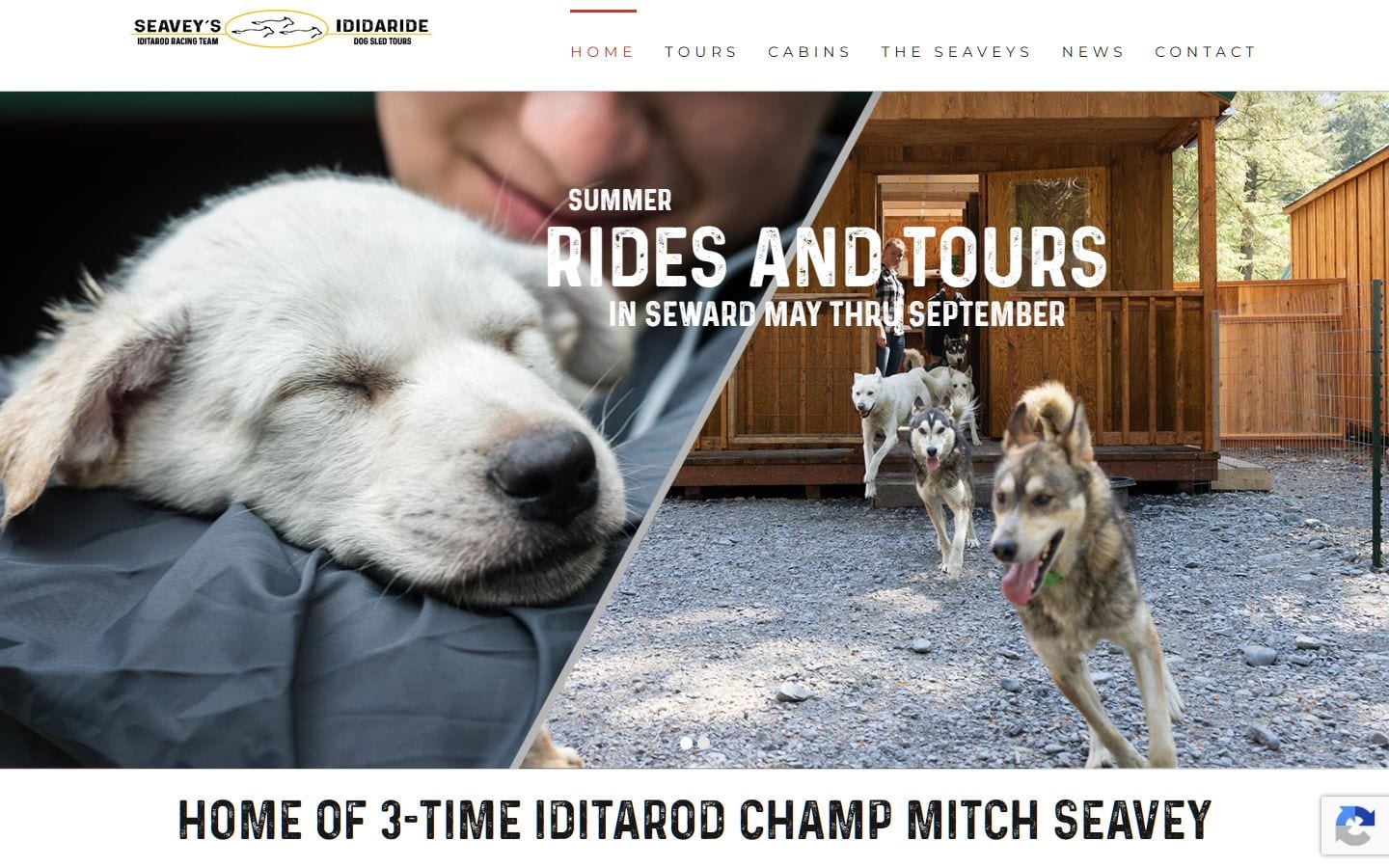 IdidaRide Sled Dog Tours website